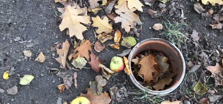 Rückblick Herbstferien-Spaß